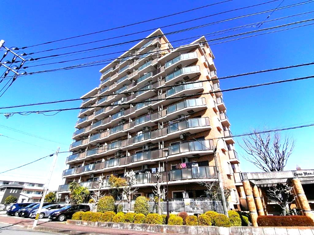 20260322154313IMG_20240318_100646 2.jpg